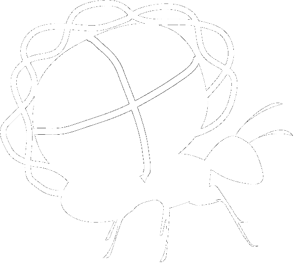 The Bonasio Lab logo